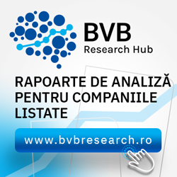 BVB Research Hub