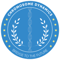 CHROMOSOME DYNAMICS